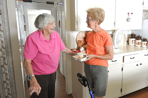 meals-on-wheels1
